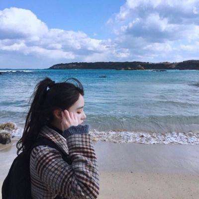 宠物契约内购破解版下载